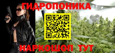 прущие грибы Краснодар