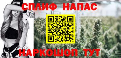прущие грибы Краснодар