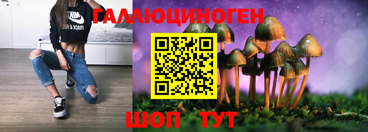 Железногорск  Галлюциногенные грибы прущие грибы  Вход с VPN  Галлюциногенные грибы мицелий 